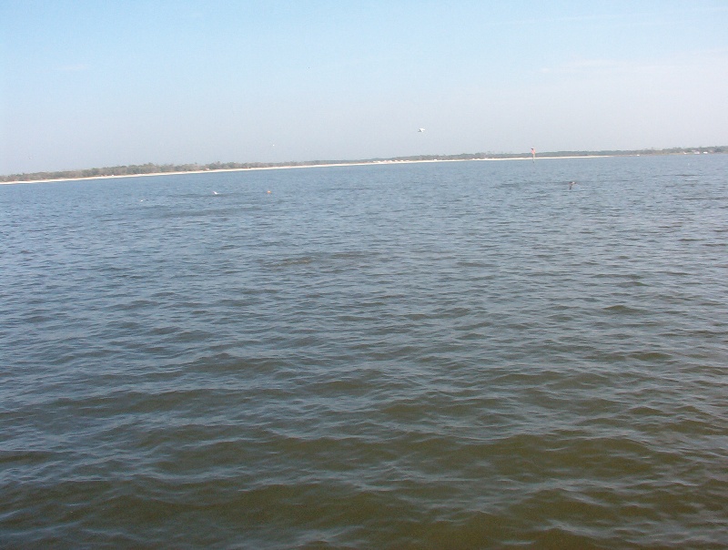rdefish majic near Slidell
