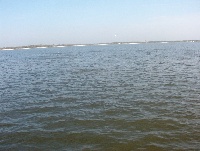 bayou caddy  bay st louis Fishing Report