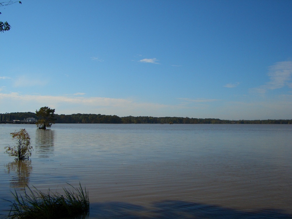 Cecilia fishing photo 1